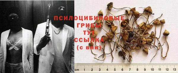 героин Алзамай