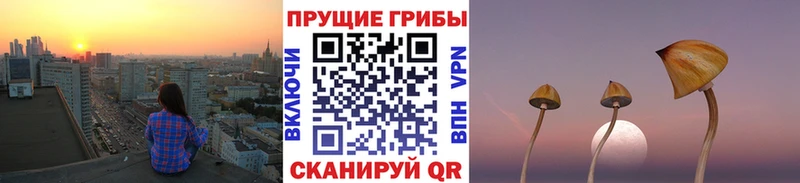 Псилоцибиновые грибы Cubensis  Советская Гавань 