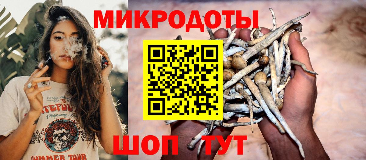 Советская Гавань  Псилоцибиновые грибы GOLDEN TEACHER  Вход с VPN 